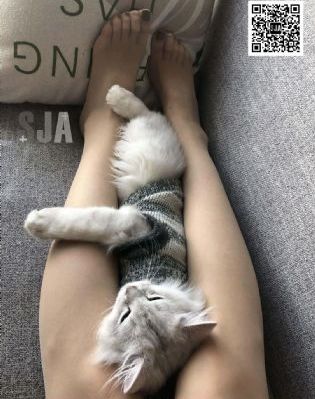 91精品国产综合久久喷水好来屋_BD国语全集在线观看